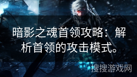 暗影之魂首领攻略：解析首领的攻击模式。