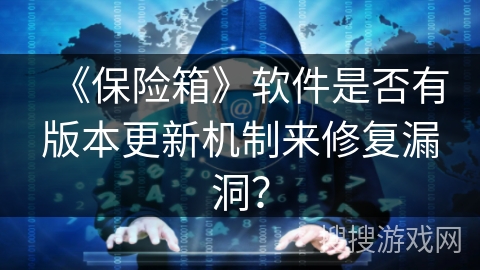 《保险箱》软件是否有版本更新机制来修复漏洞？