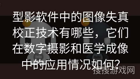 型影软件中的图像失真校正技术有哪些，它们在数字摄影和医学成像中的应用情况如何？