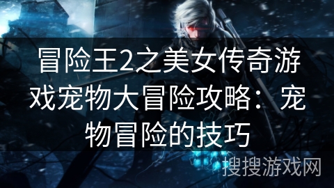 冒险王2之美女传奇游戏宠物大冒险攻略：宠物冒险的技巧