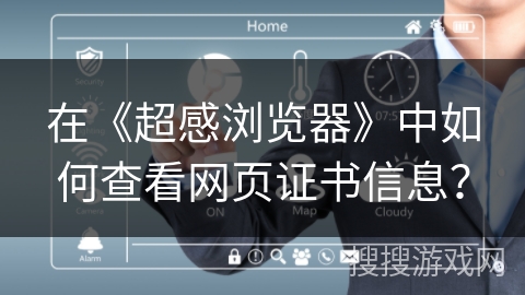 在《超感浏览器》中如何查看网页证书信息？