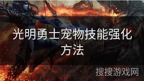 光明勇士宠物技能强化方法