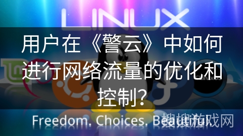 用户在《警云》中如何进行网络流量的优化和控制？