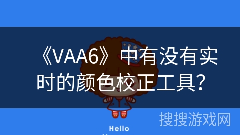 《VAA6》中有没有实时的颜色校正工具？