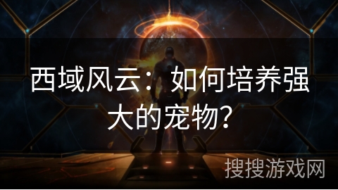 西域风云：如何培养强大的宠物？
