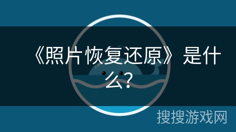 《照片恢复还原》是什么？