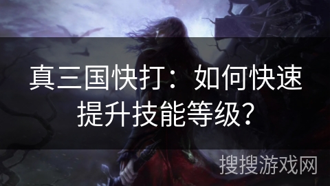 真三国快打：如何快速提升技能等级？