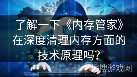了解一下《内存管家》在深度清理内存方面的技术原理吗？