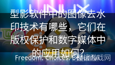 型影软件中的图像去水印技术有哪些，它们在版权保护和数字媒体中的应用如何？
