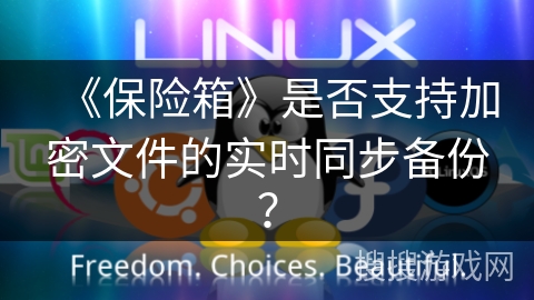 《保险箱》是否支持加密文件的实时同步备份？