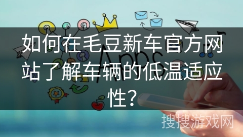 如何在毛豆新车官方网站了解车辆的低温适应性？