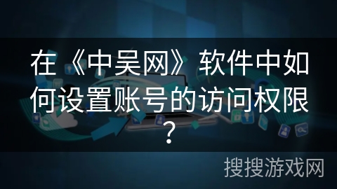 在《中吴网》软件中如何设置账号的访问权限？