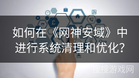 如何在《网神安域》中进行系统清理和优化？