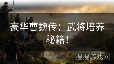 豪华曹魏传：武将培养秘籍！