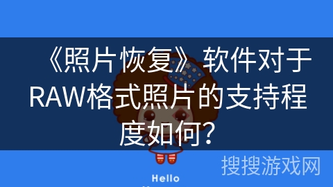 《照片恢复》软件对于RAW格式照片的支持程度如何？