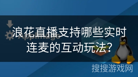 浪花直播支持哪些实时连麦的互动玩法？