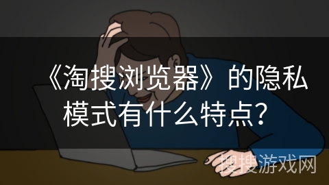 《淘搜浏览器》的隐私模式有什么特点？