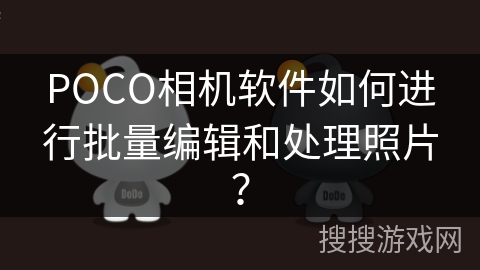 POCO相机软件如何进行批量编辑和处理照片？