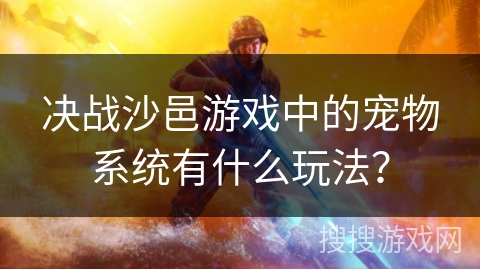 决战沙邑游戏中的宠物系统有什么玩法？