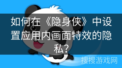 如何在《隐身侠》中设置应用内画面特效的隐私？