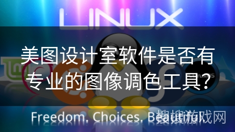 美图设计室软件是否有专业的图像调色工具？