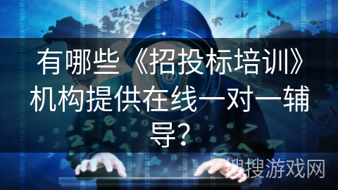 有哪些《招投标培训》机构提供在线一对一辅导？