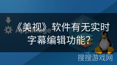 《美视》软件有无实时字幕编辑功能？