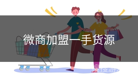 微商加盟一手货源