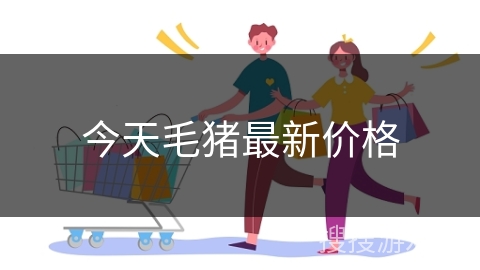 今天毛猪最新价格