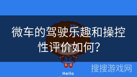 微车的驾驶乐趣和操控性评价如何？