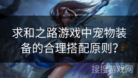 求和之路游戏中宠物装备的合理搭配原则？