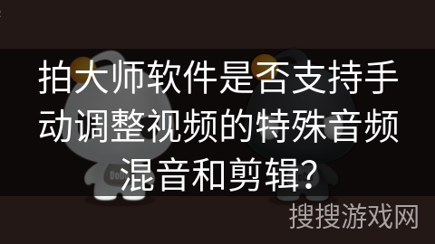 拍大师软件是否支持手动调整视频的特殊音频混音和剪辑？
