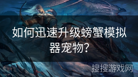 如何迅速升级螃蟹模拟器宠物？