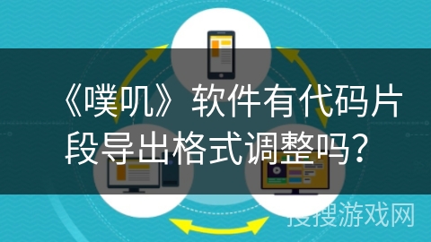 《噗叽》软件有代码片段导出格式调整吗？