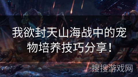 我欲封天山海战中的宠物培养技巧分享！