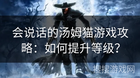 会说话的汤姆猫游戏攻略：如何提升等级？