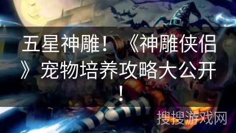 五星神雕！《神雕侠侣》宠物培养攻略大公开！