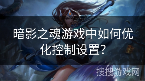 暗影之魂游戏中如何优化控制设置？