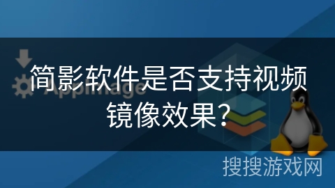 简影软件是否支持视频镜像效果？
