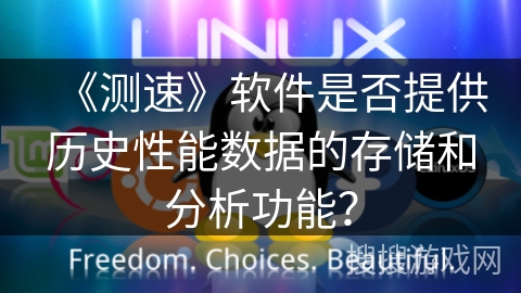 《测速》软件是否提供历史性能数据的存储和分析功能？