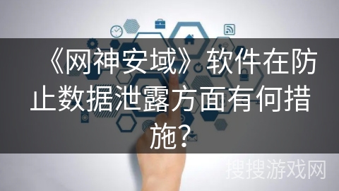 《网神安域》软件在防止数据泄露方面有何措施？