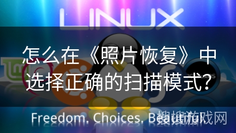 怎么在《照片恢复》中选择正确的扫描模式？