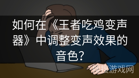 如何在《王者吃鸡变声器》中调整变声效果的音色？