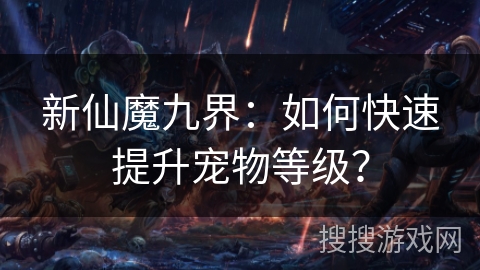 新仙魔九界：如何快速提升宠物等级？