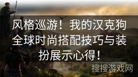 风格巡游！我的汉克狗全球时尚搭配技巧与装扮展示心得！