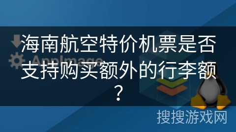 海南航空特价机票是否支持购买额外的行李额？