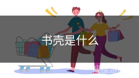 书壳是什么