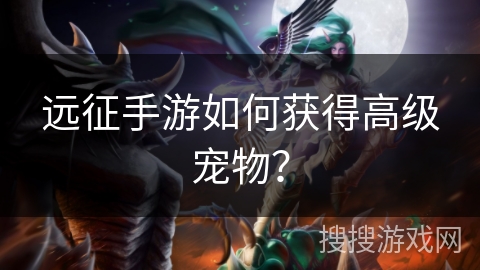远征手游如何获得高级宠物? 远征手游如何获得高级宠物?