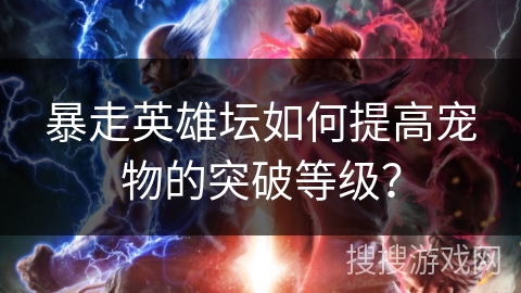 暴走英雄坛如何提高宠物的突破等级? 暴走英雄坛如何提高宠物的突破等级?