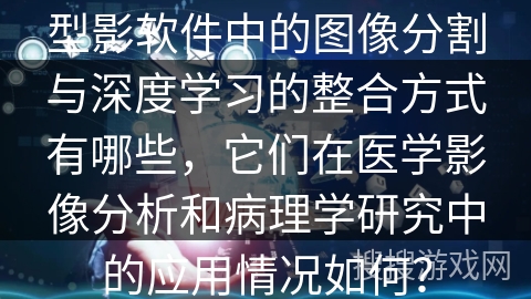 型影软件中的图像分割与深度学习的整合方式有哪些，它们在医学影像分析和病理学研究中的应用情况如何？
